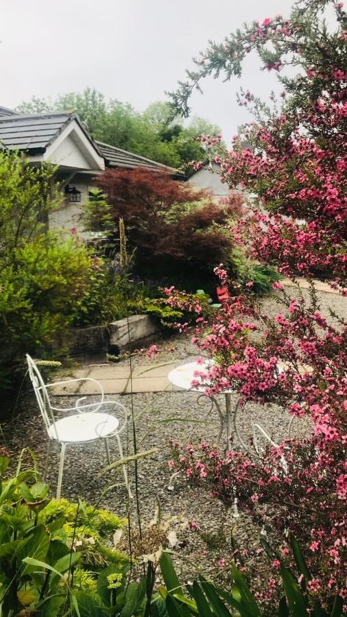 A Selection Of Self Catering Holiday Homes At Kilcloon Cottages Maynooth Esterno foto